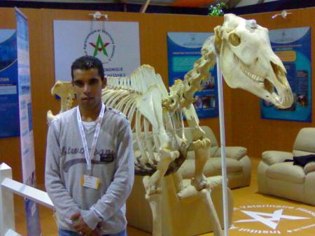 kan rajl mzyan (zico au salon du cheval d el jadida)